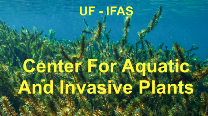 Center for Aquatic and Invasive Plants