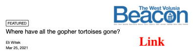 Gopher Tortoises