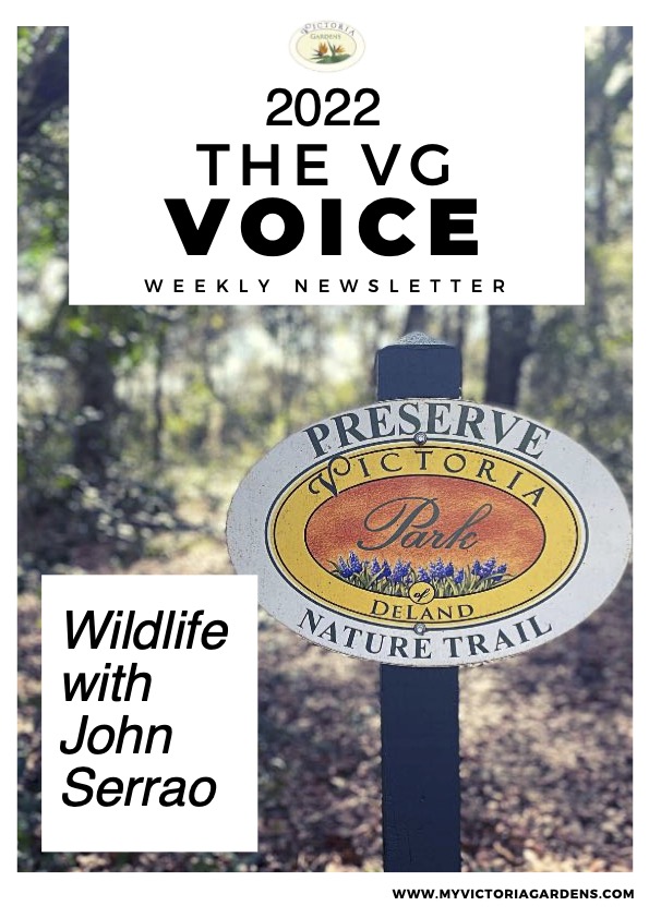 2022 Wildlife articles in VG Newsletters