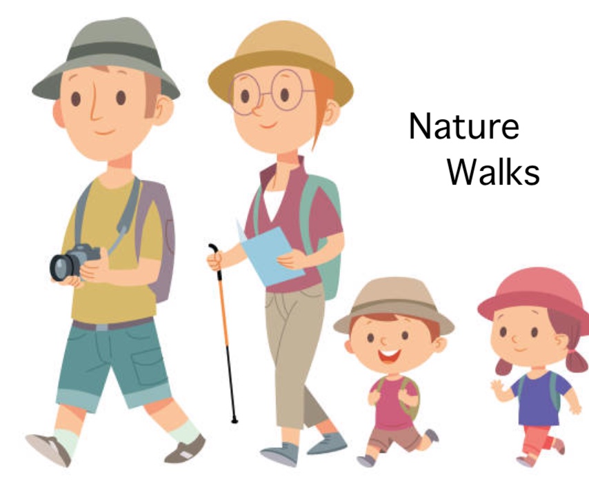 Nature Walks